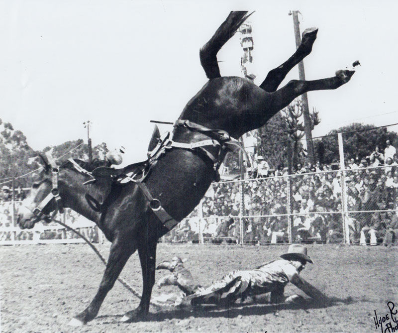 Unknown cowboy